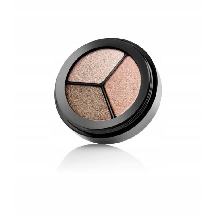 Difficulty finding a compact eyeshadow set with versatile shades - Paese Dancing Queen Eyeshadow Triple Eyeshadows 805 7g
