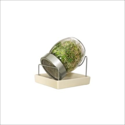 Difficulty sprouting seeds hygienically at home - Germination jar with stand 700 ml